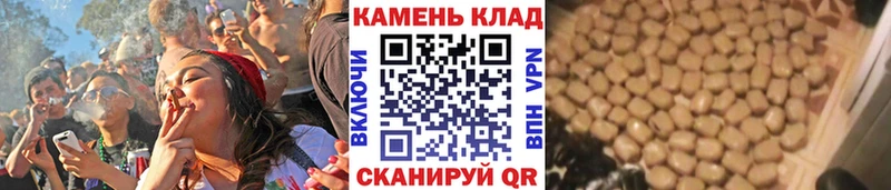 Где купить наркотики Зима МАРИХУАНА  Меф  АМФ  ГАШ  КОКАИН  Альфа ПВП 