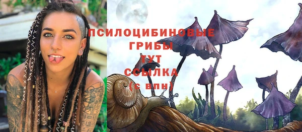 герыч Бородино
