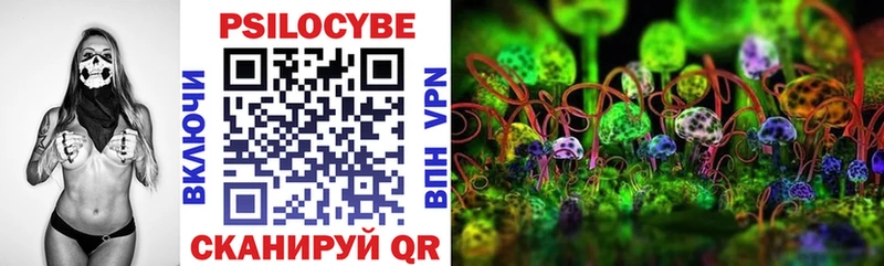 где продают   Зима  Галлюциногенные грибы мухоморы 