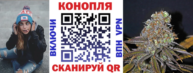 Каннабис марихуана  Зима 